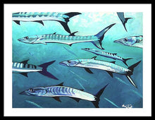 Load image into Gallery viewer, Barracuda - Framed Print