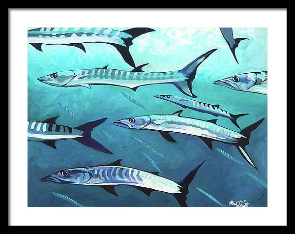 Barracuda - Framed Print