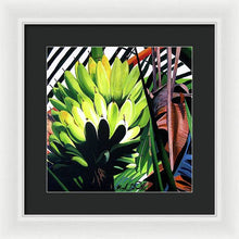 Load image into Gallery viewer, Bananas - Framed Print