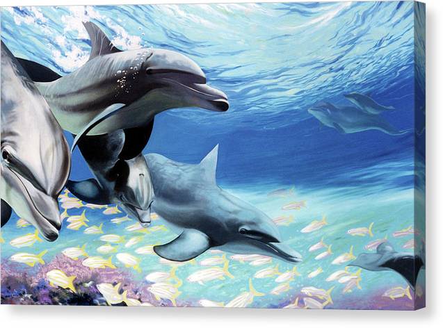 Blue Dolphins - Canvas Print