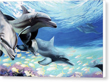 Load image into Gallery viewer, Blue Dolphins - Canvas Print