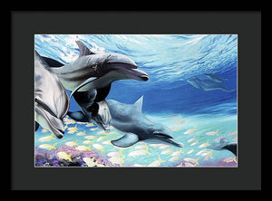 Blue Dolphins - Framed Print