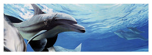 Blue Dolphins - Yoga Mat