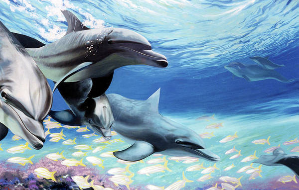 Blue Dolphins - Art Print
