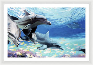 Blue Dolphins - Framed Print