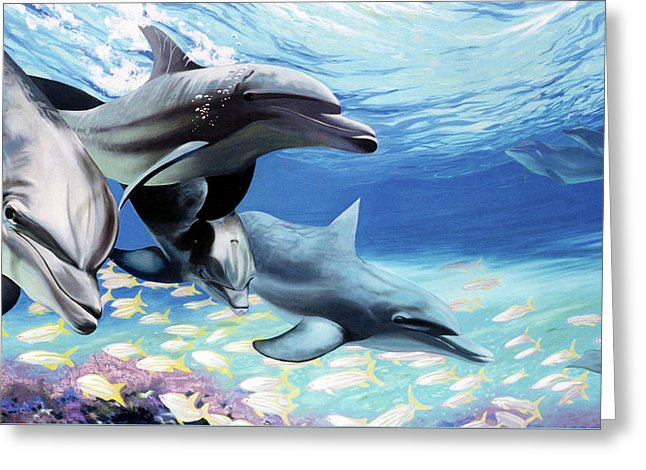 Blue Dolphins - Greeting Card