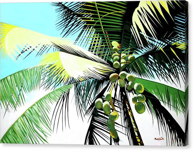Coco Palm - Canvas Print