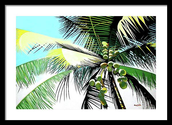Coco Palm - Framed Print