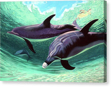 Load image into Gallery viewer, Dolphins And Turtle - Canvas Print