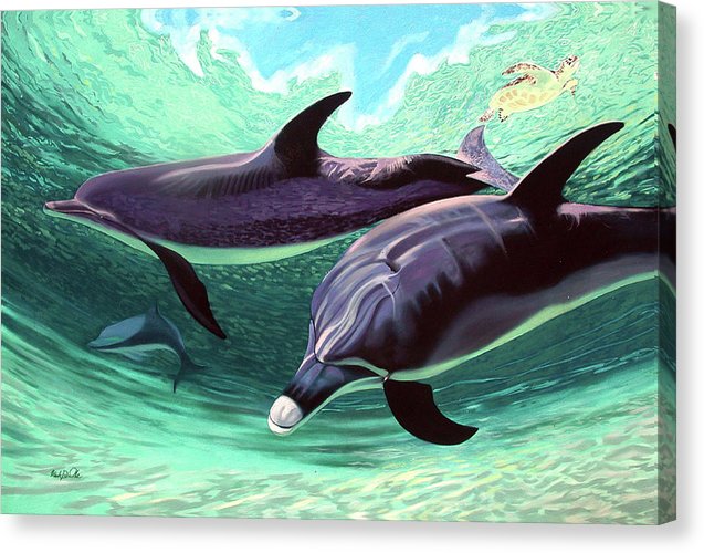 Dolphins And Turtle - Canvas Print
