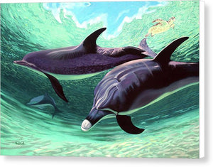Dolphins And Turtle - Canvas Print