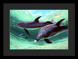 Dolphins and Turtle - Framed Print