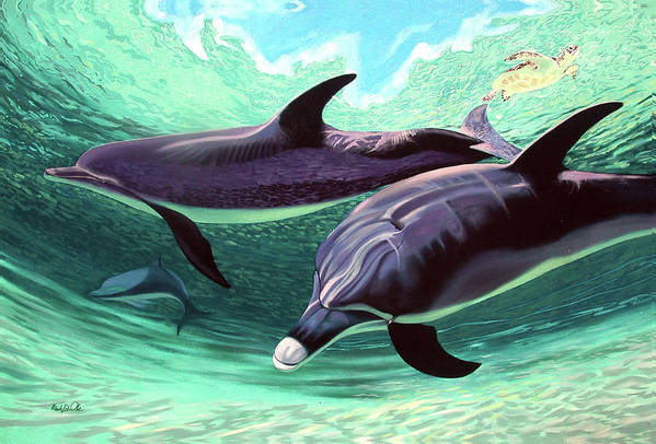 Dolphins and Turtle - Art Print