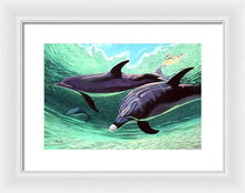 Load image into Gallery viewer, Dolphins and Turtle - Framed Print