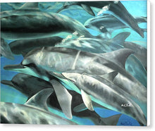 Load image into Gallery viewer, Dolphins - Canvas Print
