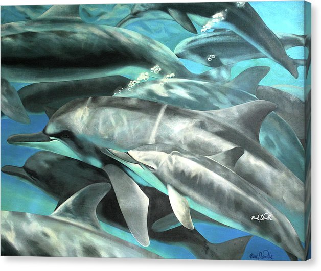 Dolphins - Canvas Print