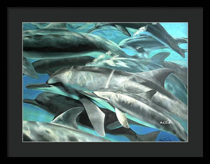 Dolphins - Framed Print