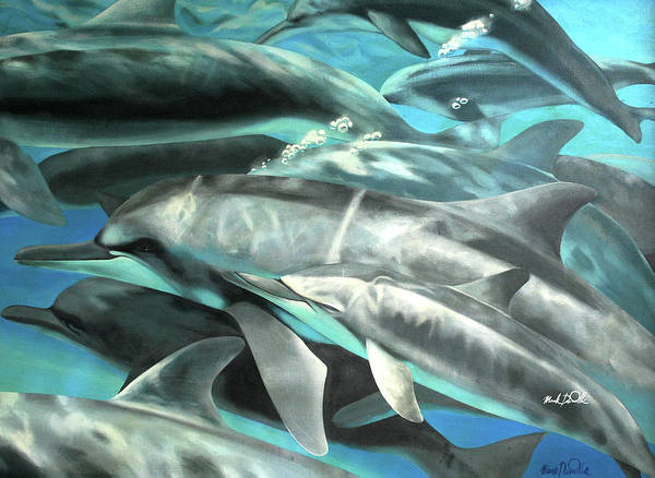 Dolphins - Art Print