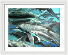 Load image into Gallery viewer, Dolphins - Framed Print
