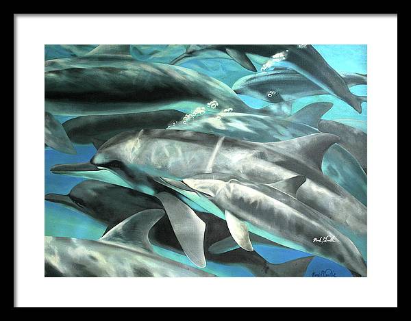 Dolphins - Framed Print