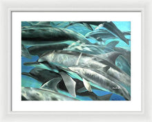 Load image into Gallery viewer, Dolphins - Framed Print