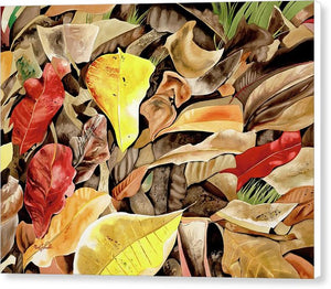 Kamani Leaves - Canvas Print
