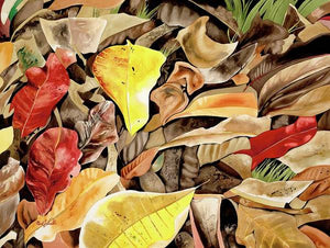 Kamani Leaves - Art Print