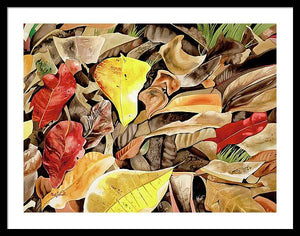 Kamani Leaves - Framed Print