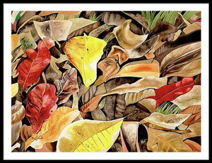 Kamani Leaves - Framed Print