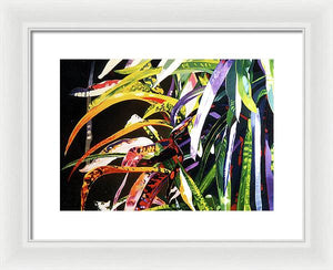 Spider Croton - Framed Print