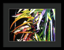 Load image into Gallery viewer, Spider Croton - Framed Print