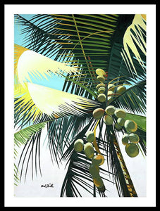 Sunny Palm - Framed Print