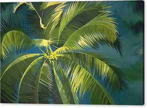 Sunset Palm - Canvas Print