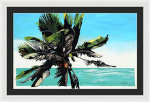 Load image into Gallery viewer, Waikoko Palm - Framed Print