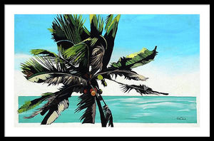 Waikoko Palm - Framed Print