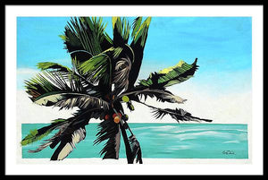 Waikoko Palm - Framed Print